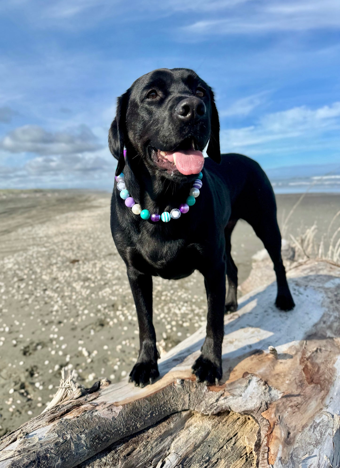 Mermaid Beaded Dog Collar