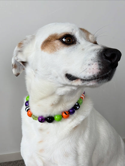 Halloween Beaded Dog Collar (Limited edition)
