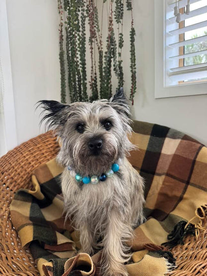 Bluey Beaded Dog Collar