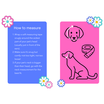 Princess Beaded Dog Collar