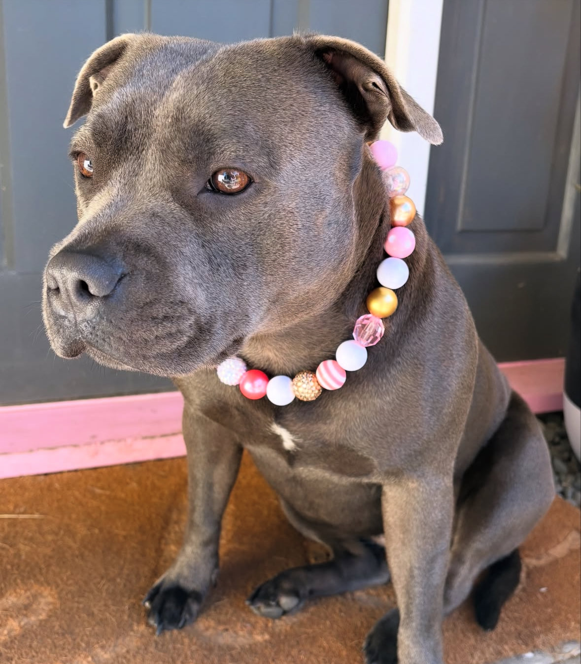 Princess Beaded Dog Collar