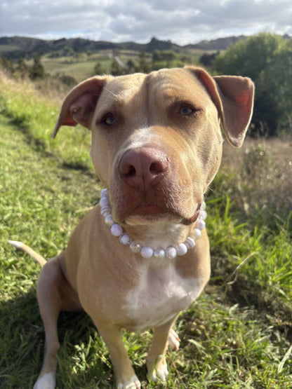 Frosted Beaded Dog Collar