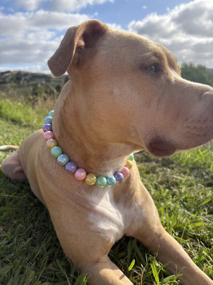Pastel Pearls Beaded Dog Collar